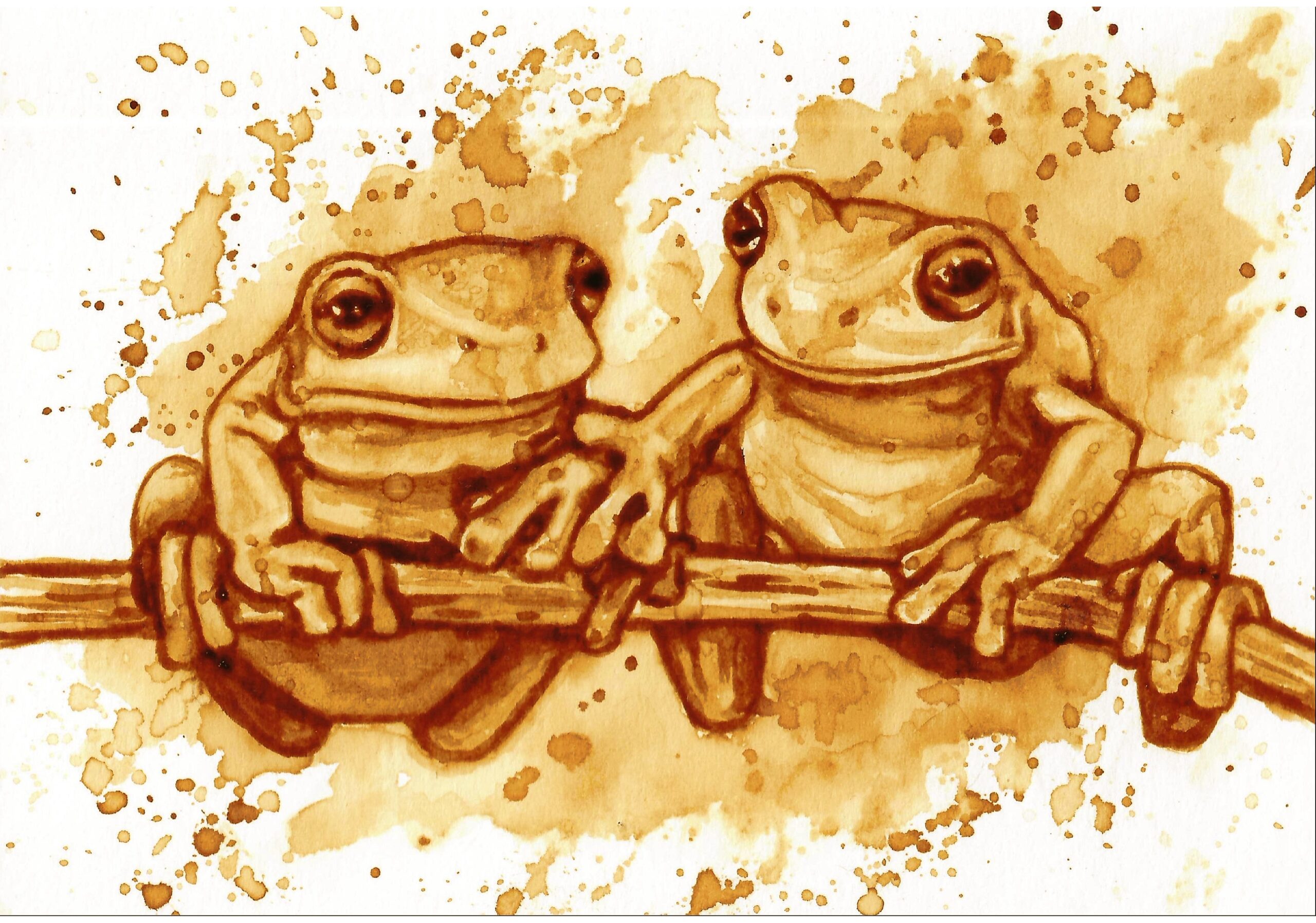 australiantreefrogs24warm