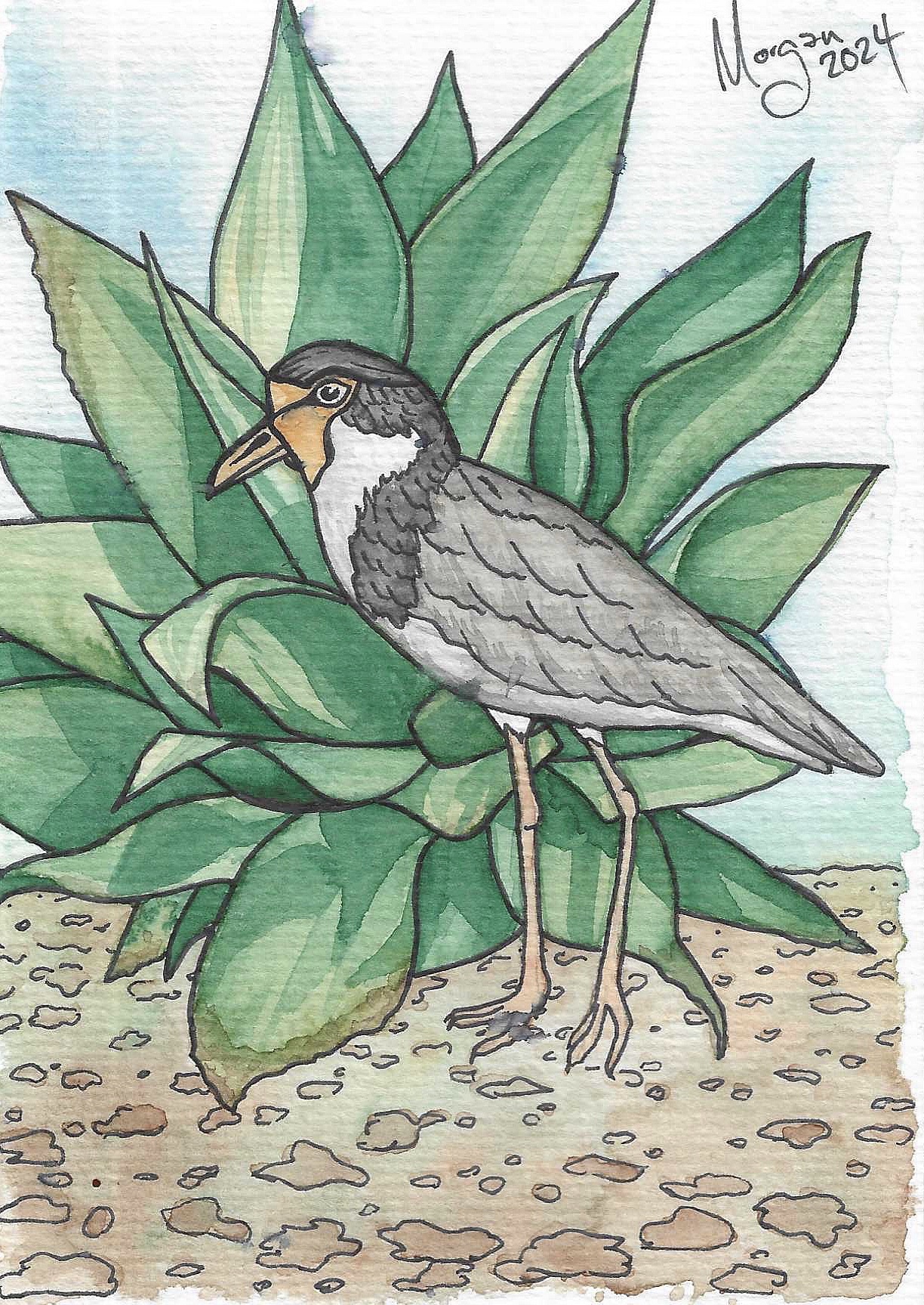 photo 2024 10 30 132820